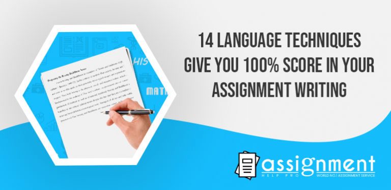 what is assignment in language